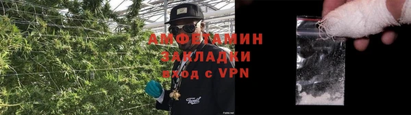 прущие грибы Надым