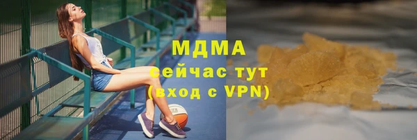 прущие грибы Надым